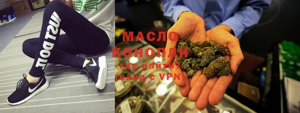 твердый Новозыбков