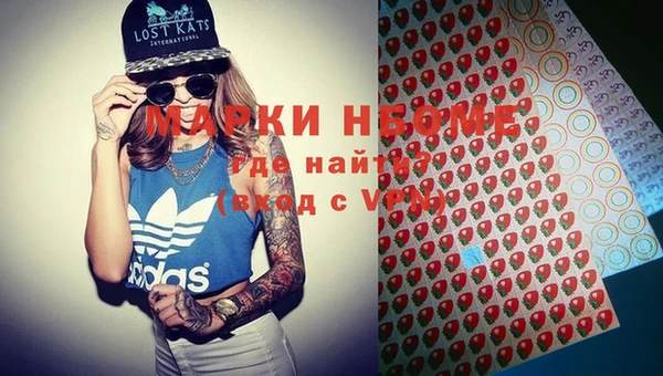 сатива Новокубанск