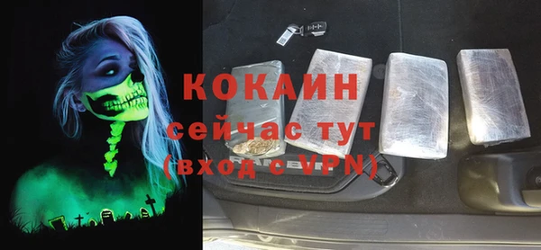 твердый Новозыбков
