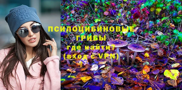прущие крисы Новодвинск