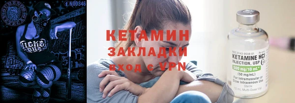 сатива Новокубанск