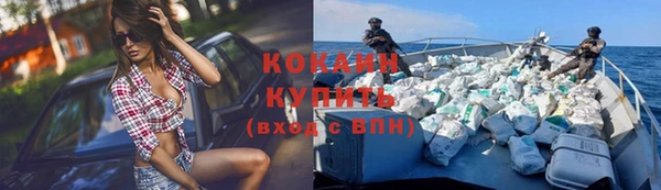 сатива Новокубанск