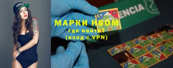 твердый Новозыбков