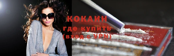 твердый Новозыбков