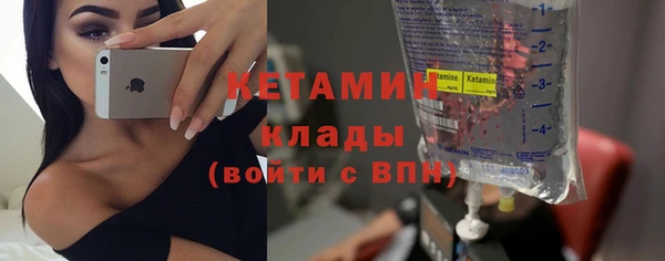 твердый Новозыбков
