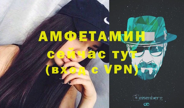 сатива Новокубанск