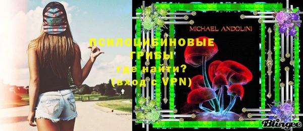 прущие крисы Новодвинск
