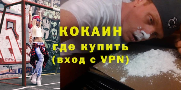 твердый Новозыбков