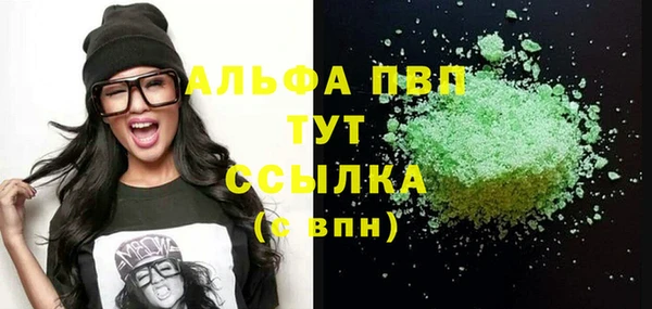 сатива Новокубанск