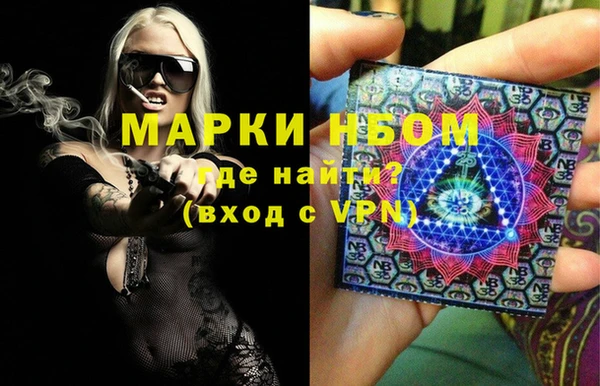 сатива Новокубанск