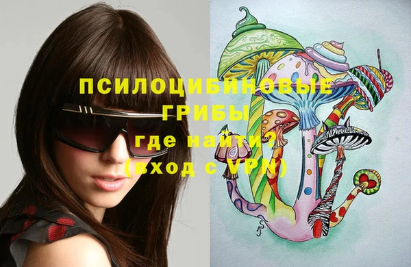 твердый Новозыбков
