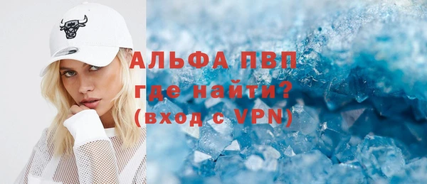 сатива Новокубанск