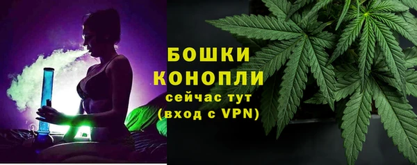 твердый Новозыбков