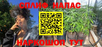 spice Балахна