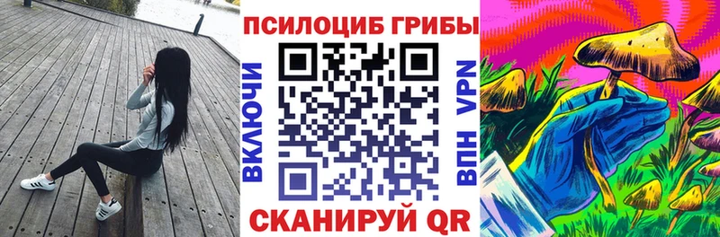 Галлюциногенные грибы MAGIC MUSHROOMS  mega зеркало  Волгоград 