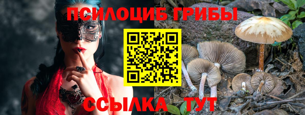 Галлюциногенные грибы ЛСД  Волгоград 